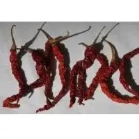 Indian red chilli - Byadagi